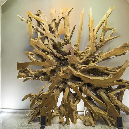 ホテル Centre レウス